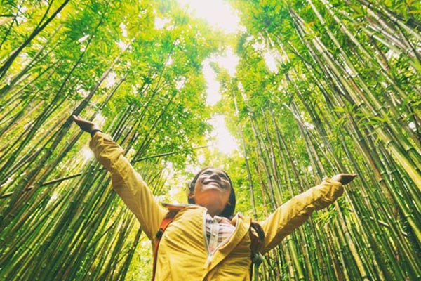 Nature therapy
