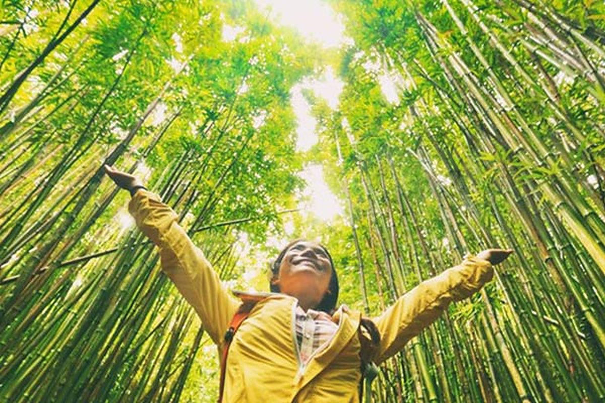 Nature therapy